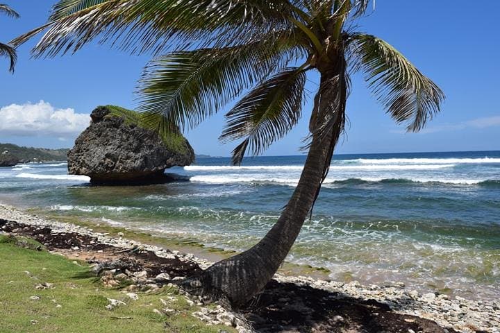 barbados-paradise-sightseeing-tour-carlisle-bay-and-east-coast photo 2