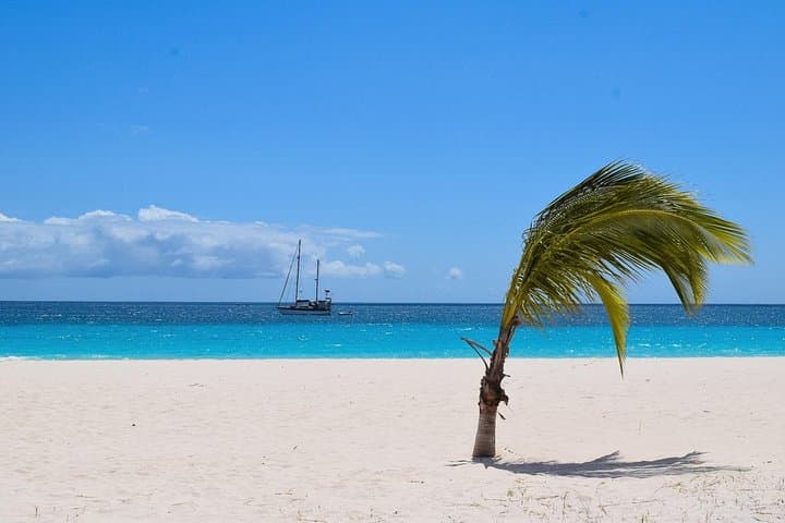 Barbados Island Highlights: Half-Day Coastal and Cultural Tour