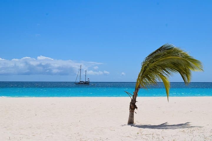 barbados-paradise-sightseeing-tour-carlisle-bay-and-east-coast