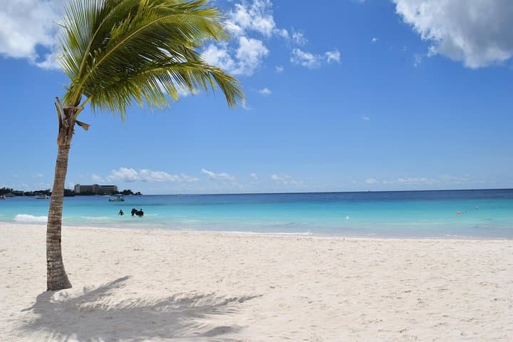 Harrison's Cave Tram and Carlisle Bay Snorkel — Swim with Turtles in Barbados photo 4