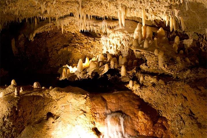 Barbados Island Adventure: Harrison's Cave, Bathsheba & Monkey Feeding photo 2