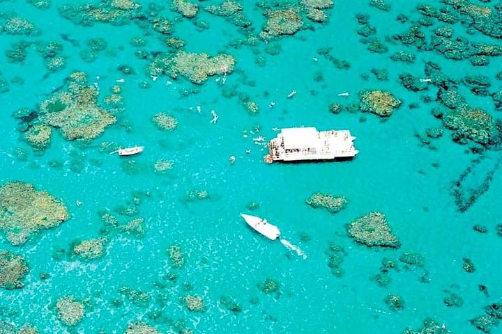 Discover the Pristine Paradise of Maracajaú Beach photo 4