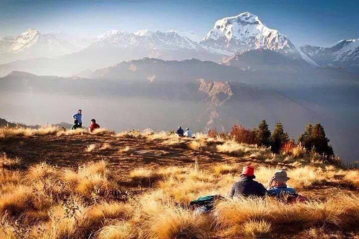 Private Short Trek to Annapurna View: Dhampus & Australian Camp from Pokhara photo 3