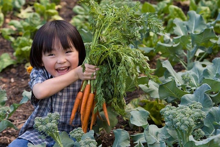 Xi'an Private Day Tour: Qinling Wild Zoo, Seasonal Fruit-Picking & Farm Dinner photo 2