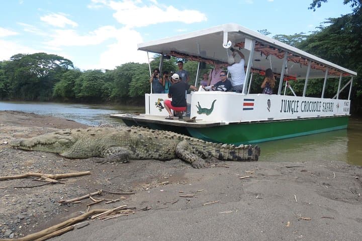 Tarcoles River Crocodile Safari & Birdwatching from Jaco