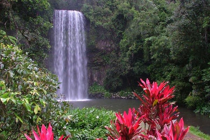 Atherton Tablelands Day Trip from Cairns — Paronella Park, Lake Barrine & Millaa Millaa Falls photo 2