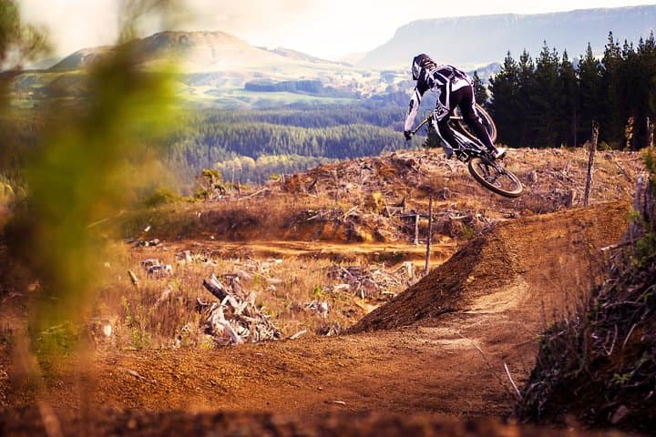 Self-Guided Half-Day Mountain Bike Ride in Rotorua's Whakarewarewa Redwoods