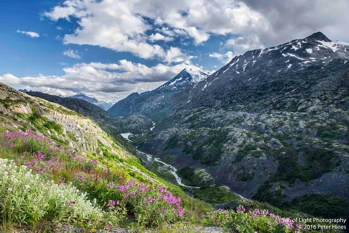 White Pass Summit & Yukon Suspension Bridge Tour from Skagway