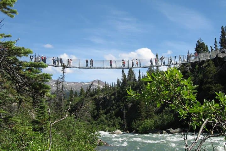 White Pass Summit & Yukon Suspension Bridge Tour from Skagway photo 2