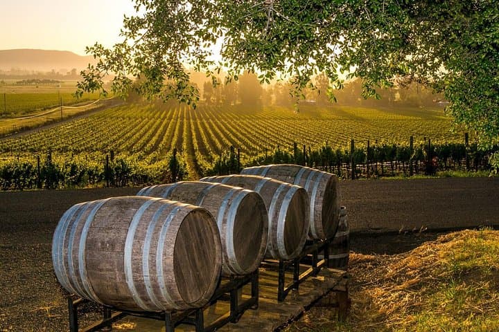 Fredericksburg Wine Tour: 3 Wineries, Lunch & Hill Country Scenic Drive photo 1