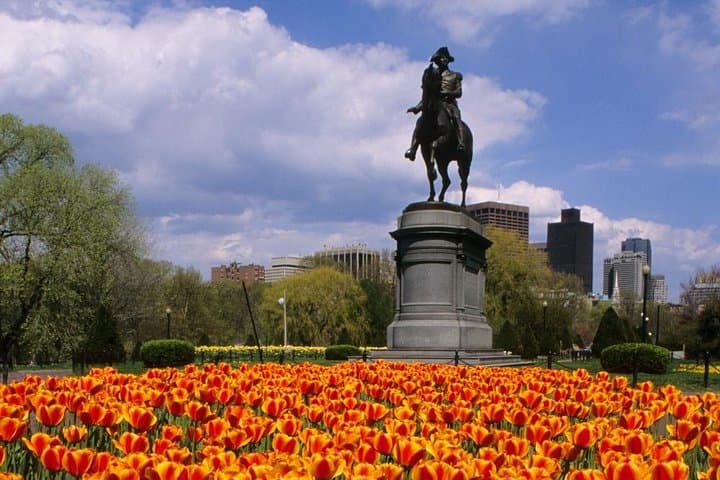Explore Boston Your Way: Private Customized Walking Tours for History and Culture