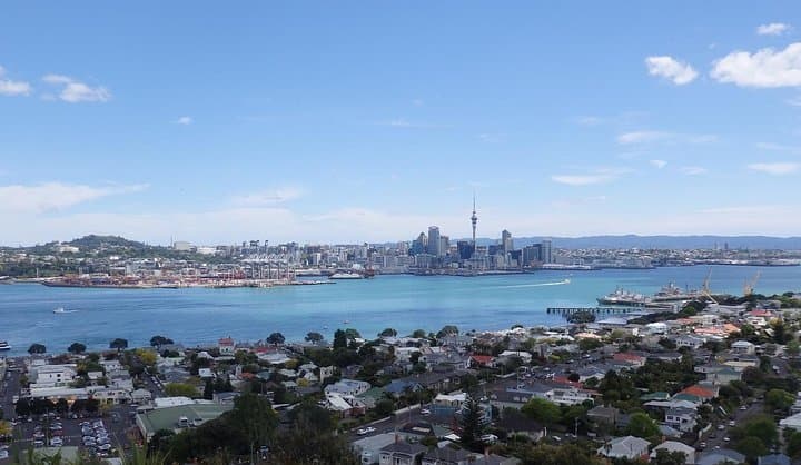Half-Day Small-Group Auckland Scenic Tour — 4-Hour City Highlights