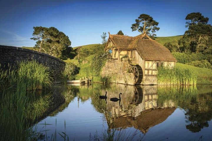 Hobbiton & Waitomo Glowworm Caves Day Trip from Auckland — Full-Day Tour photo 4
