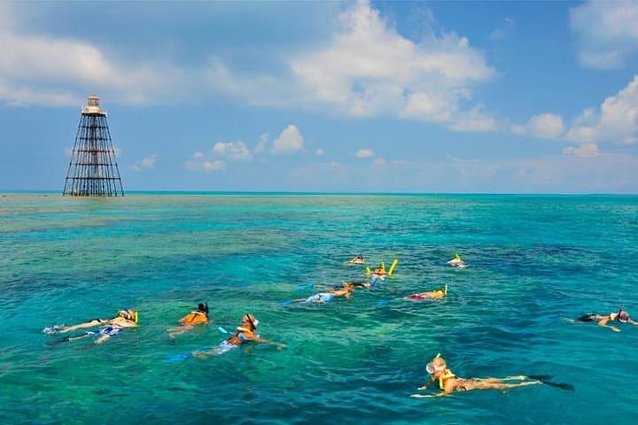 Key West Afternoon Snorkel Sail: Coral Reefs, Dolphins & Open Bar photo 4
