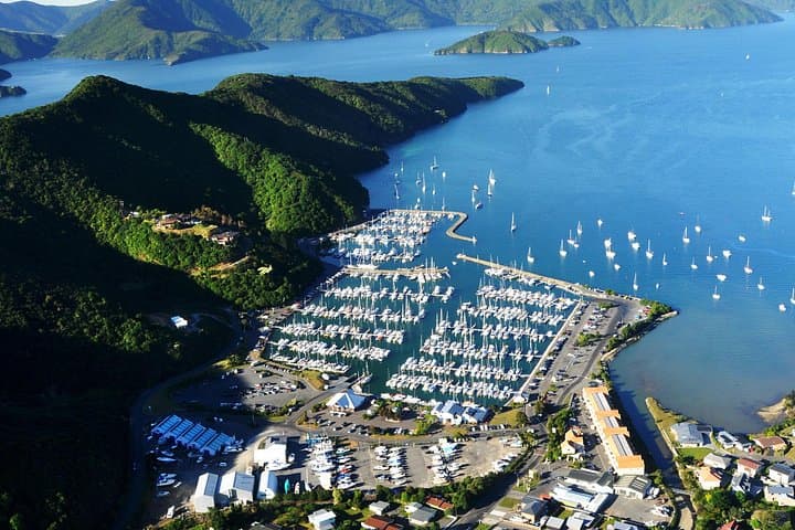 Marlborough Scenic & Wine Tour: Queen Charlotte Drive, Havelock and Wineries from Blenheim photo 2