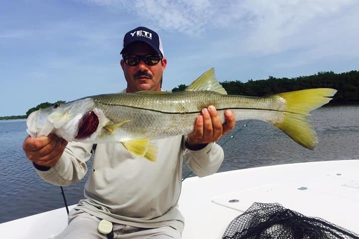 Apalachicola Inshore Fishing Charter: Flats, Backcountry and Bayfront Secrets photo 2