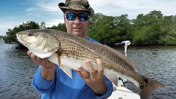 Amelia Island Inshore Fishing Charter — Redfish, Tarpon & Backwater Action photo 1