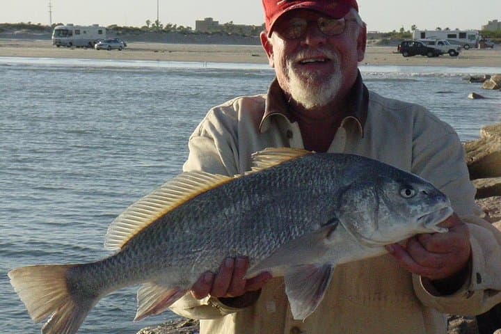 Clearwater Inshore Fishing Charter: A Guided Adventure in Florida’s Diverse Backcountry Waters photo 4