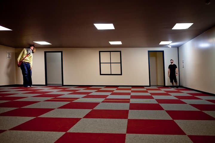 Explore Puzzling World Wanaka: Great Maze, Illusion Rooms & Puzzle Café photo 2
