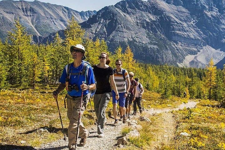 Banff Guided Classic Hikes with Lunch — Larch Valley, Plain of Six Glaciers & More photo 1