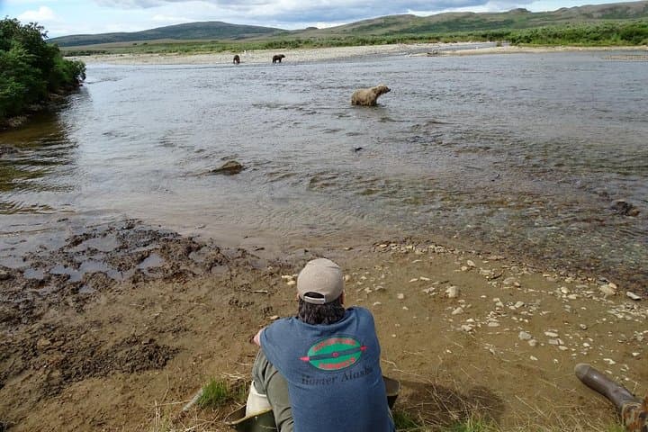 Alaska Bear-Viewing Day Trip from Homer — Bush Plane to Katmai’s Coastal Brown Bears photo 2