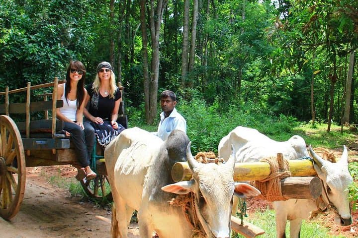 2-Day Sigiriya and Minneriya Safari with Village Experience from Colombo photo 5