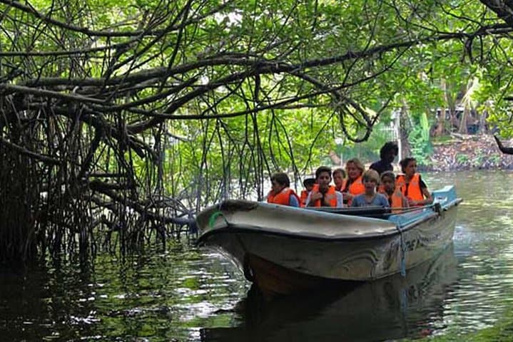 Galle Day Trip & Madu River Mangrove Safari from Colombo photo 2