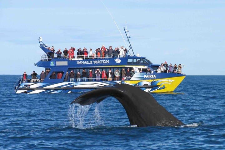 Bentota & Mirissa Whale Watching: 2-Day Coastal Safari from Colombo photo 5