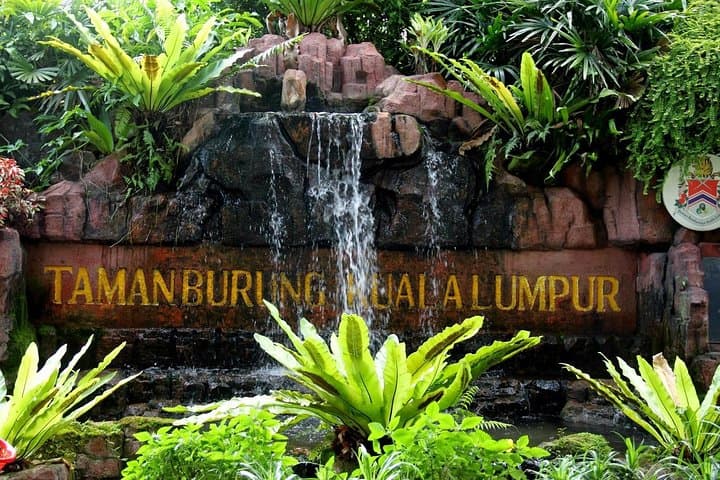 Inside KL Bird Park: Free-Flight Aviary, Hornbills & Private Pickup photo 4