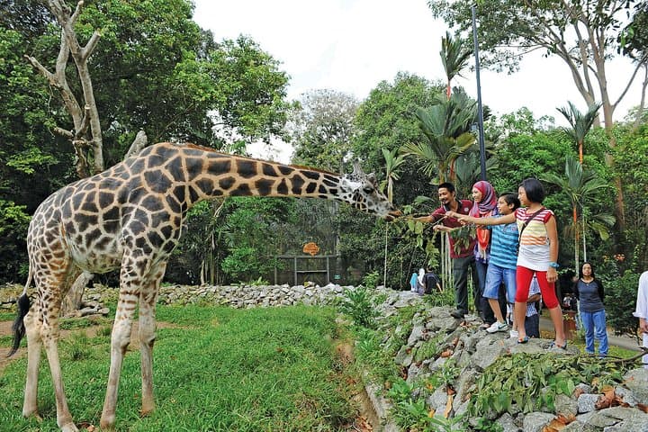 Day Trip to Melaka Zoo & Crocodile Park — Full-Day Wildlife Tour from Kuala Lumpur