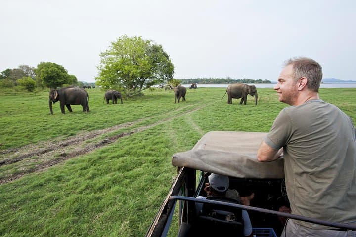 Early-Morning Minneriya Jeep Safari from Sigiriya: Giant Herds & Reservoir Views photo 4