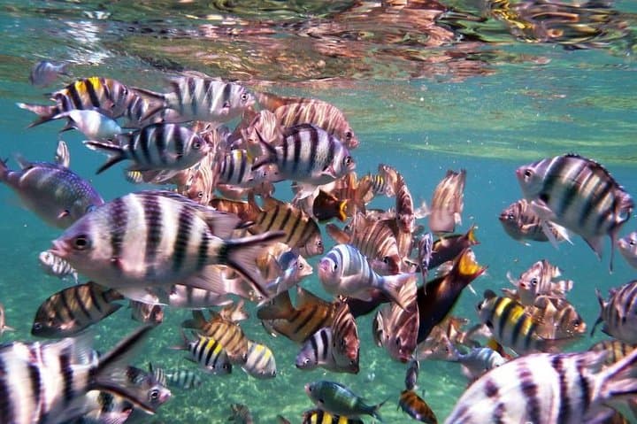 Perhentian Islands 3D2N Snorkel Escape: Full-Board Beach & Boat Adventure photo 6