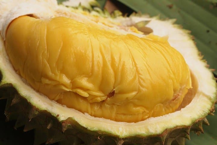 Durian Lovers’ Night Out: Musang King Feast & Kuala Lumpur Night Icons photo 5