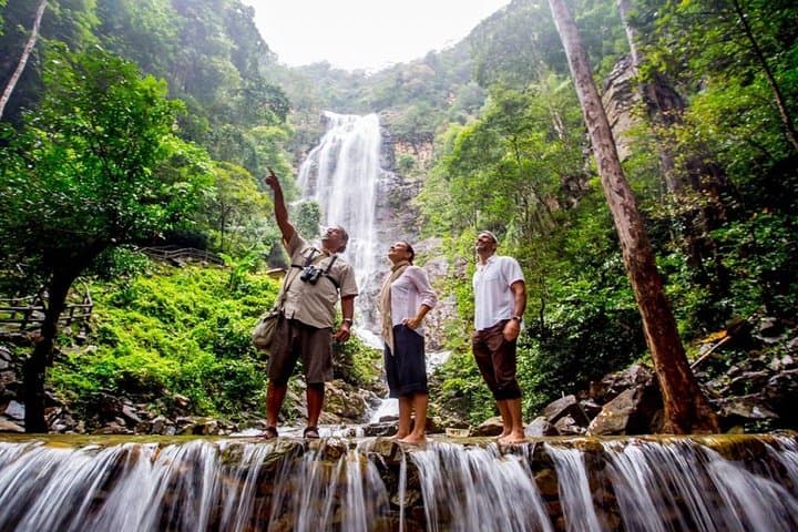 Langkawi Rainforest Trek: 6 km Guided Jungle Walk with Private Pickup
