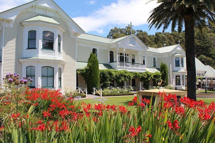 Napier Premium Hawke's Bay 4-Winery Half-Day Tour — Tasting, Vines & Regional Stories