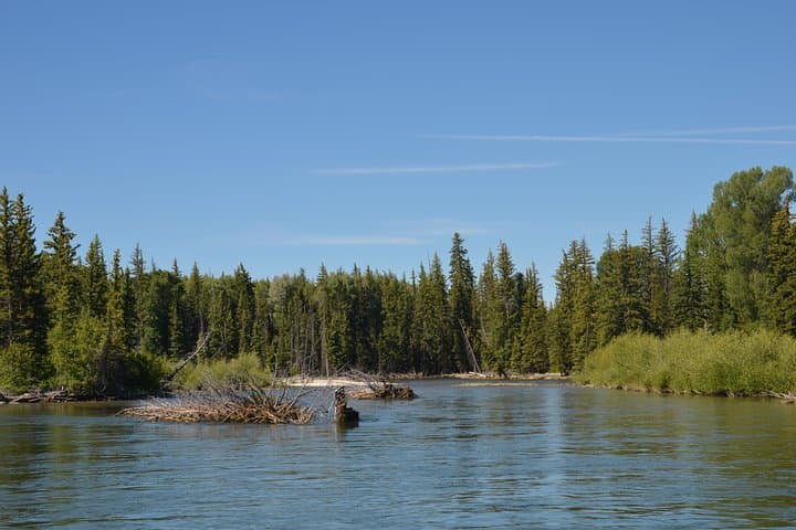Snake River Scenic Float Trip in Grand Teton National Park — Jackson Hole photo 5