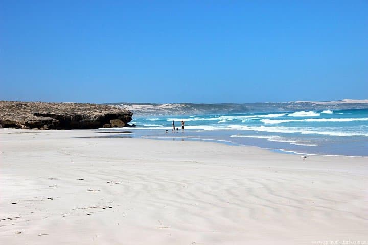 Port Lincoln Seafood, Dunes & Koalas: Full-Day 4WD Adventure photo 6
