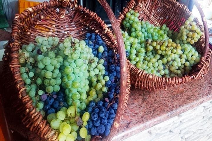 Herzegovina Wine Experience: Mostar Valley Wineries, Organic Tastes and Karst Vineyards