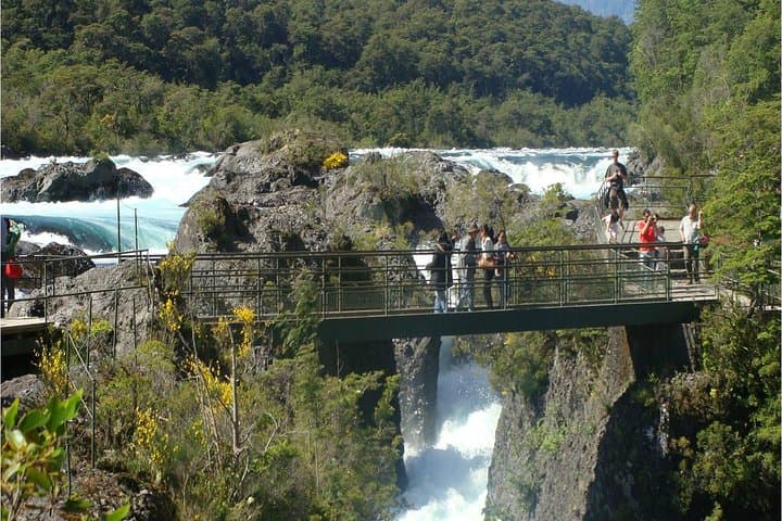Full-Day Osorno Volcano and Petrohué Falls Tour from Puerto Varas photo 2