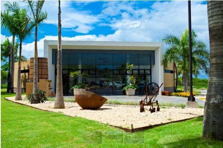 Ron Barceló Añejo Factory Tour — Santo Domingo Rum Experience