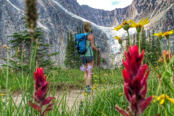 Ultimate Jasper Nature Walk: Guided 3‑Hour Interpretive Hike in Jasper National Park photo 2
