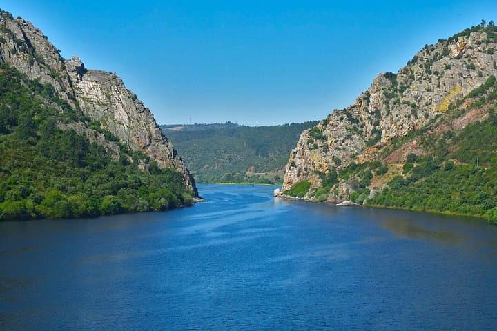 Full-Day Bird Watching at Portas de Ródão from Lisbon — Boat Cruise & Lunch