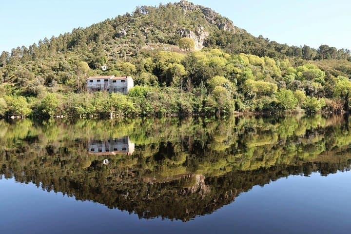 Full-Day Bird Watching at Portas de Ródão from Lisbon — Boat Cruise & Lunch photo 2