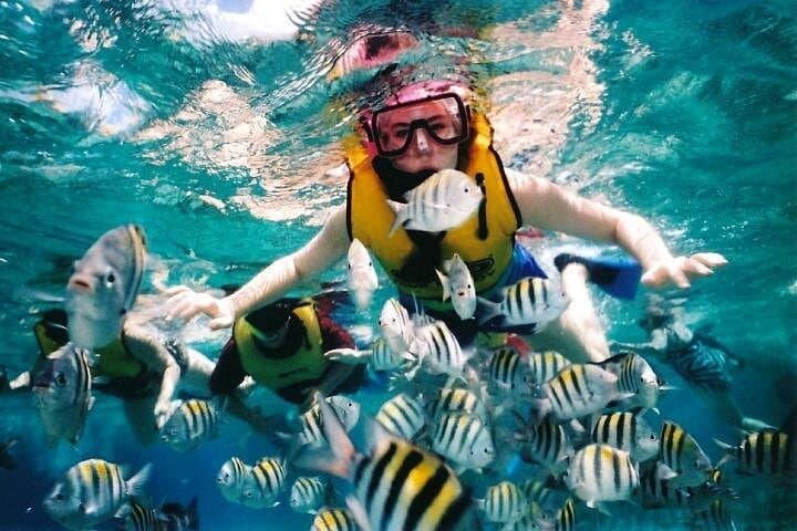 Tioman Sribuat Snorkel and Summit Hike Day Trip from Singapore