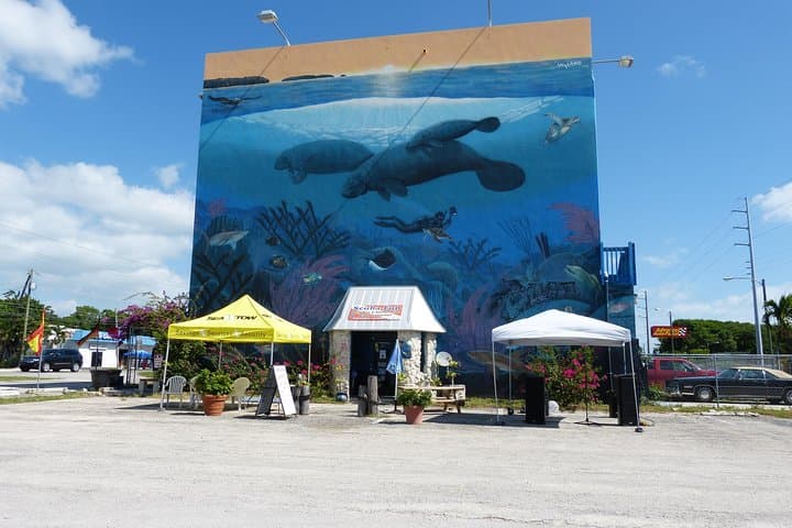 Discover Scuba in Key Largo: Beginner Reef Dives with a Professional Instructor photo 2