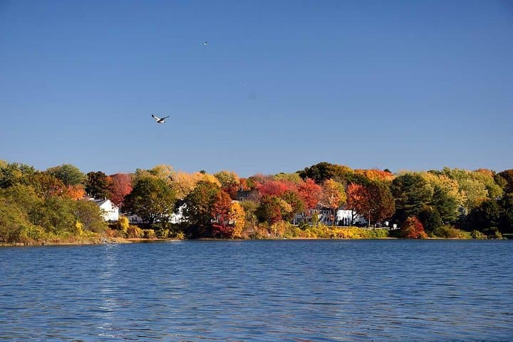 Portland Maine Fall Foliage Private Lobster Boat Cruise photo 3