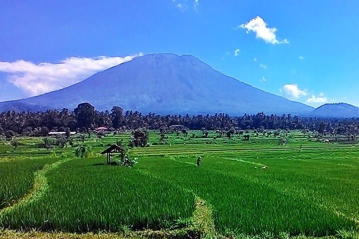 Full-Day Wonders of Bali: Ulun Danu, Gitgit Falls & Jatiluwih Rice Terraces photo 3