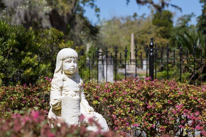 Exploring Savannah’s History: Bonaventure Cemetery and Wormsloe State Historic Site Tour photo 4