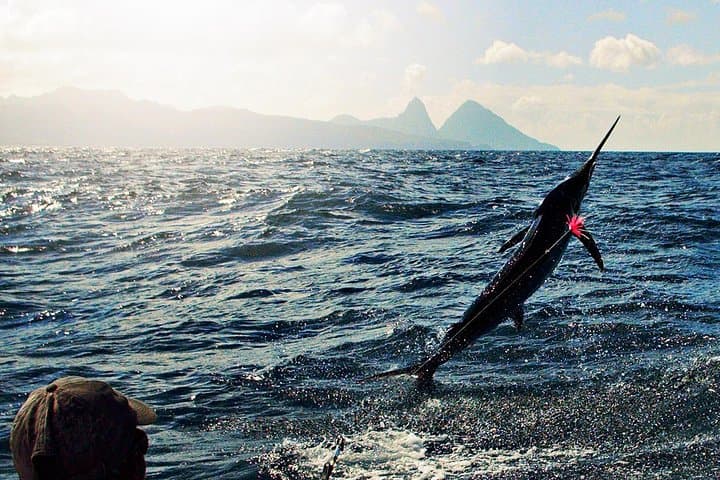 Hooking Marlin off St Lucia: West Coast Sport Fishing Tour