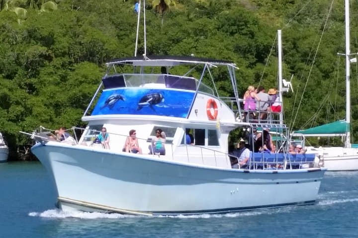 Whale and Dolphin Watching Cruise in St Lucia — West Coast Marine Safari photo 2